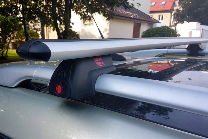 Mont Blanc RF 20 Alu